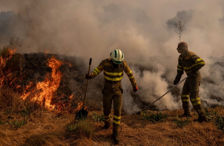 Winds complicate wildfire battles in Spain; Portugal suffers third death | Climate Crisis News