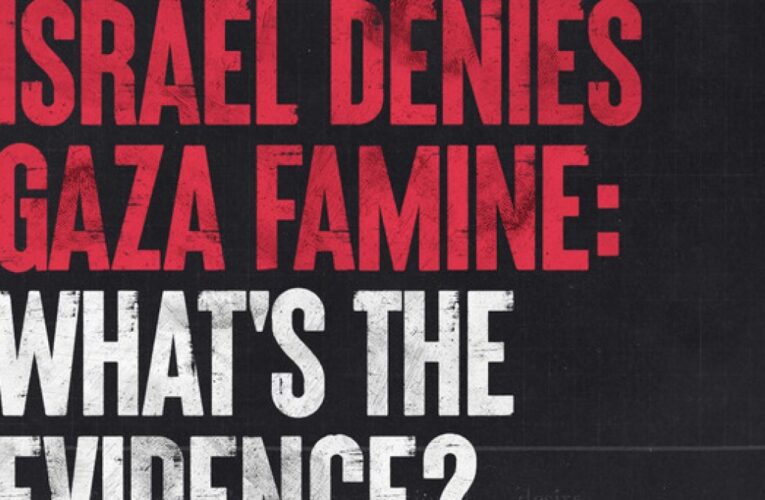 Israel Denies Gaza Famine: What’s the Evidence?