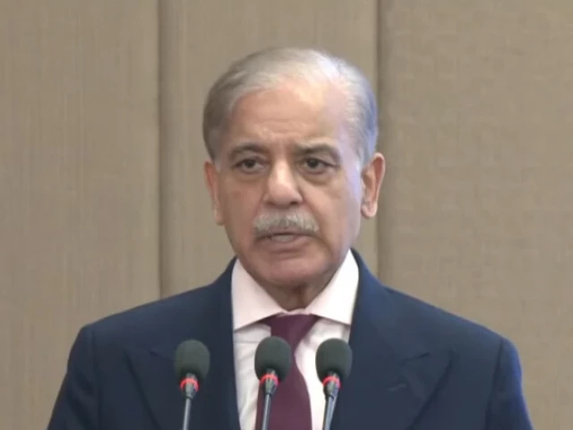 PM slams delays in Rs10b defamation case