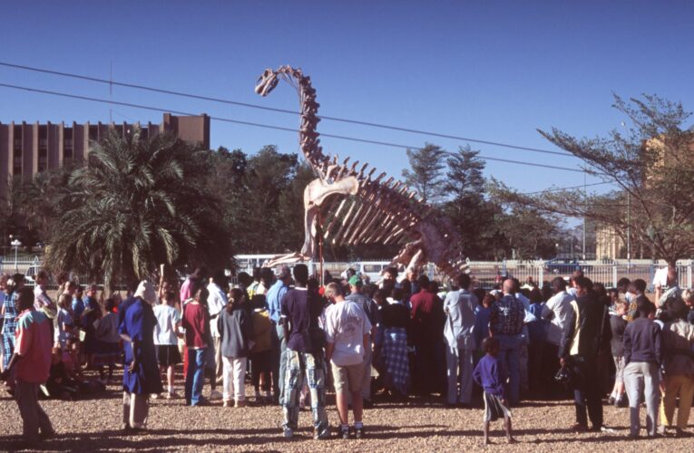 Dinosaurs to supercrocs: Niger’s bone keepers preserve its ancient fossils | Arts and Culture