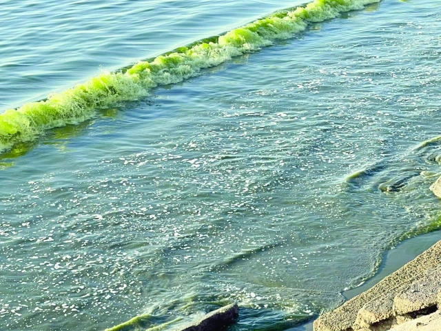 Gwadar coast shimmers green