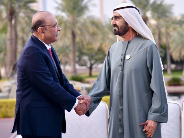 President Zardari explores avenues for enhanced cooperation in meeting with Dubai ruler