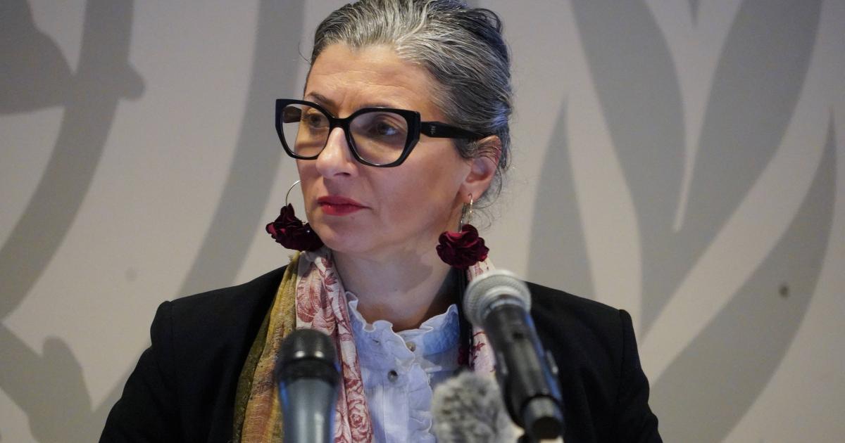 اقوام متحدہ کی نمائندہ فرانسسکا البانیز ’زہریلے‘ حملوں کی زد میں کیوں؟