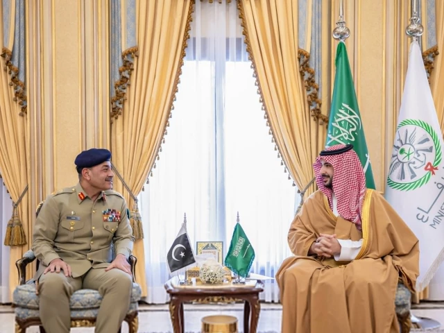 CDF Munir, Saudi defence minister discuss joint efforts to promote global peace and security