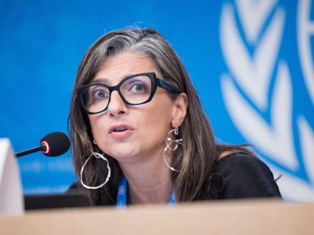Independent UN body condemns 'vicious attacks' on UN expert on Palestinian rights