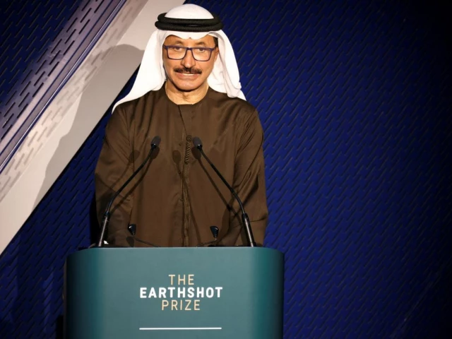 Dubai's DP World boss removed from post after pressure over Epstein links