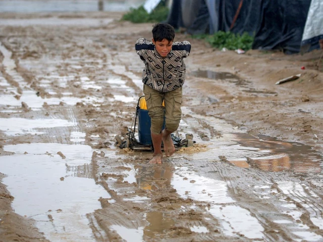 Aid groups petition Israel's top court to halt ban on Gaza, West Bank ops