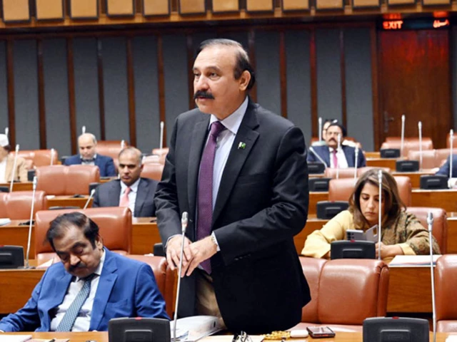 Over 100 terrorists killed in Afghanistan air strikes, Tariq Fazal tells Senate