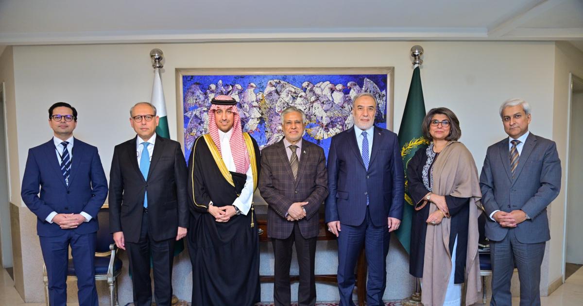 پاکستان، سعودی عرب، ترکی اور مصر کا مشترکہ تعاون فریم ورک بنایا جائے: وزیر خارجہ