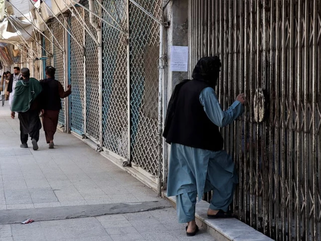 Death toll of shooting in Afghanistan's Herat hits 11