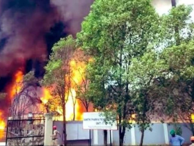 Fire at India firecracker factory kills 20: police