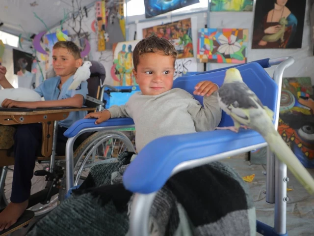 Gaza children find joy through support animals