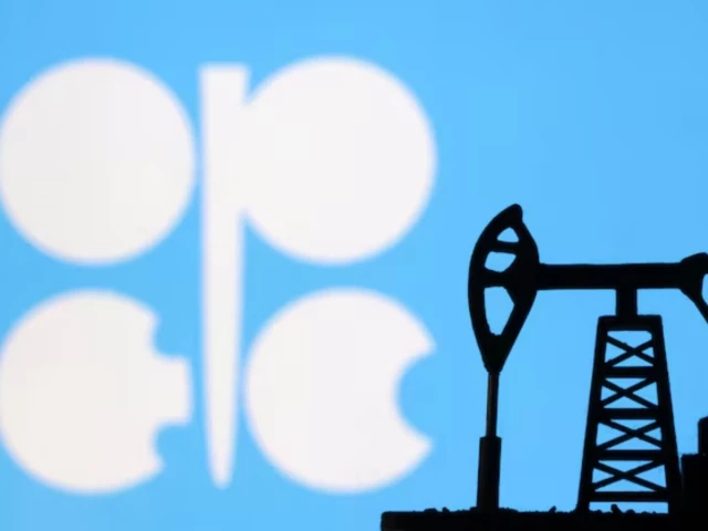 UAE reviewing multilateral ties after OPEC exit but rules out more departures, official says