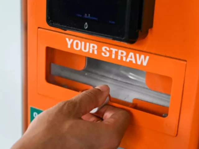 French teen in straw licking case allowed to leave Singapore