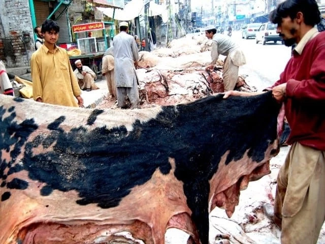 Balochistan bans hides collection by proscribed outfits