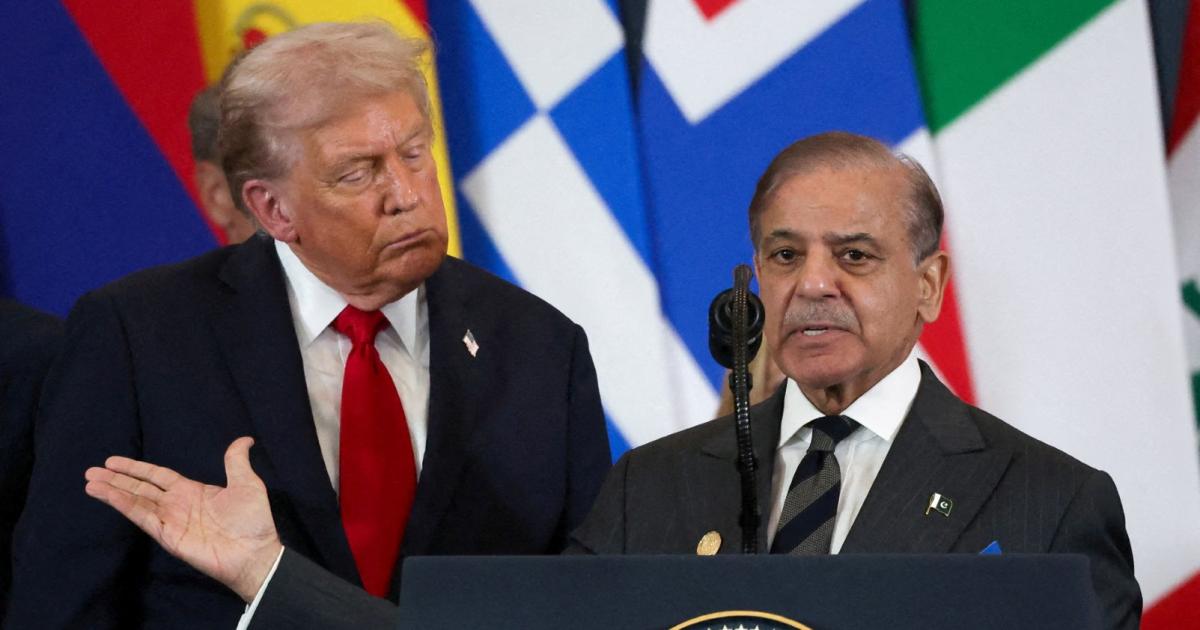 حساس وقت میں ’پروجیکٹ فریڈم‘ کو معطل کرنے پر ٹرمپ کے شکرگزار: شہباز شریف