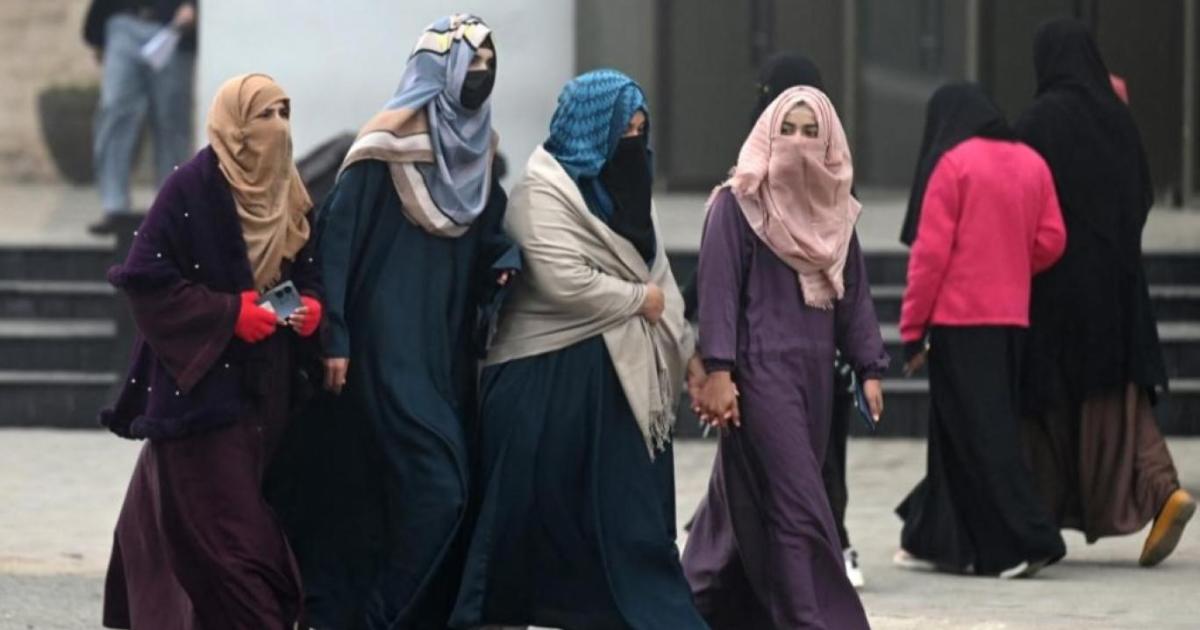پروفیسرز طالب علموں کو عملی کام کیوں نہیں سکھاتے؟