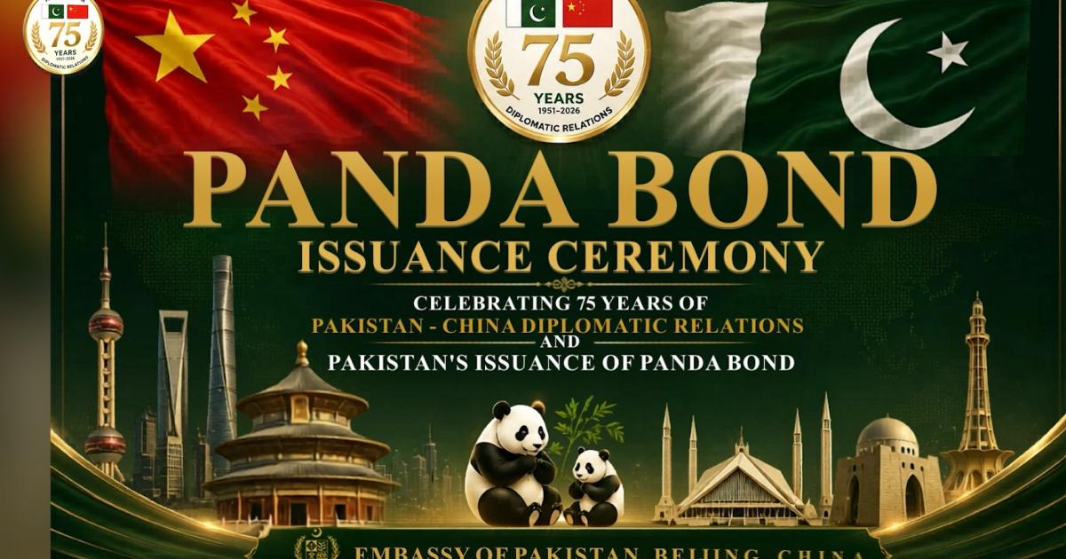 پانڈا بانڈ کیا ہے اور پاکستان نے چین میں ان کا اجرا کیوں کیا ہے؟