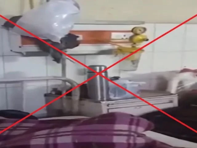 Viral video does not show rats roaming inside Civil Hospital Quetta; it’s from India