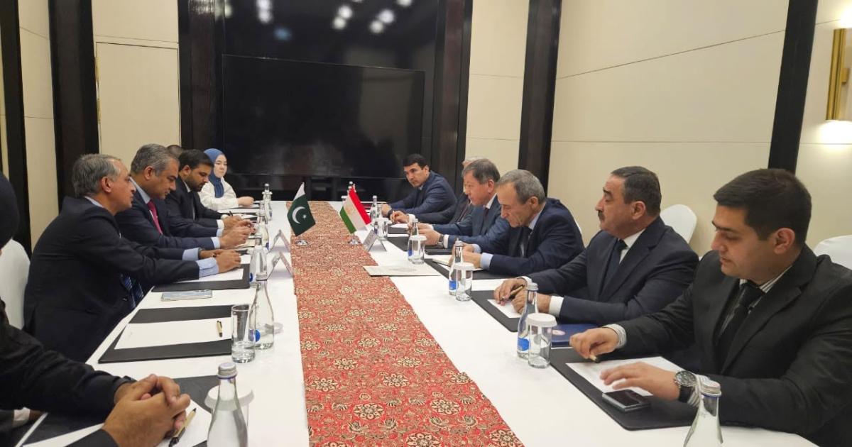 افغانستان میں دہشت گرد کیمپس اور منشیات خطے کے لیے خطرہ:پاکستان اور تاجکستان متفق