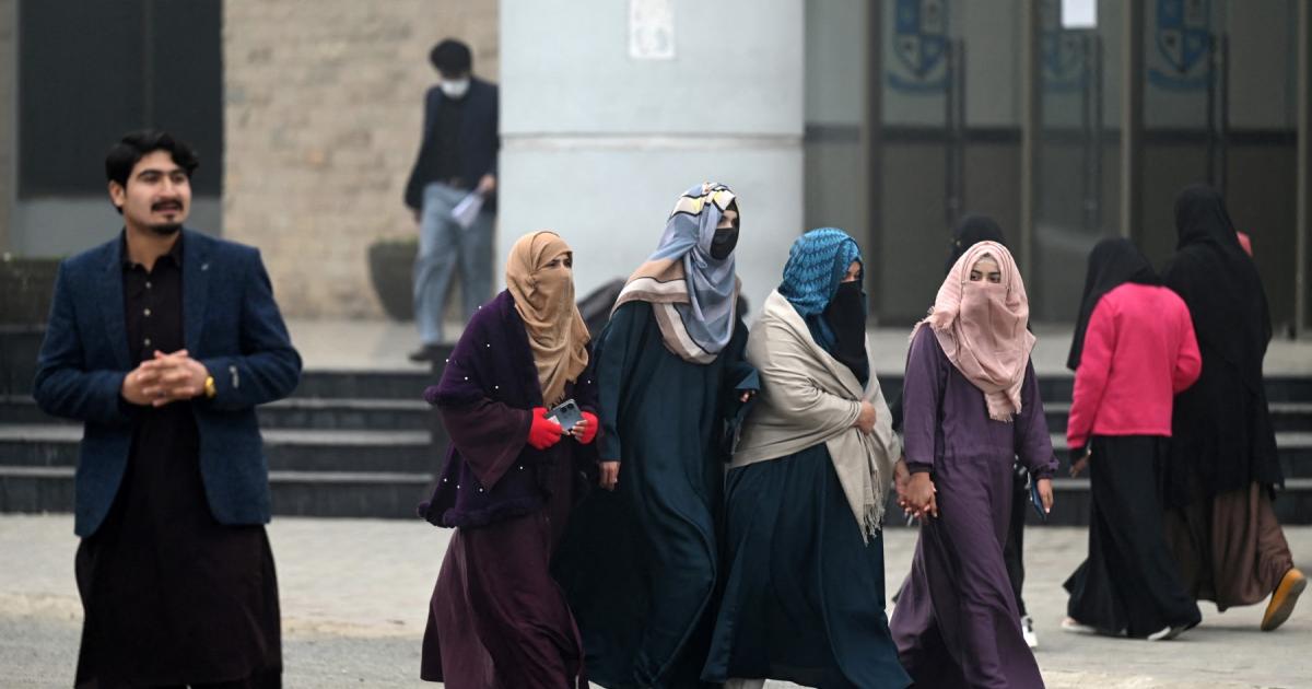 ہر سمسٹر نوکری جاتے جاتے رہ جاتی ہے