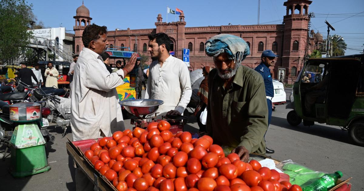 ٹماٹر فی کلو 500 روپے تک: قیمتوں میں اضافے کی وجہ کیا ہے؟