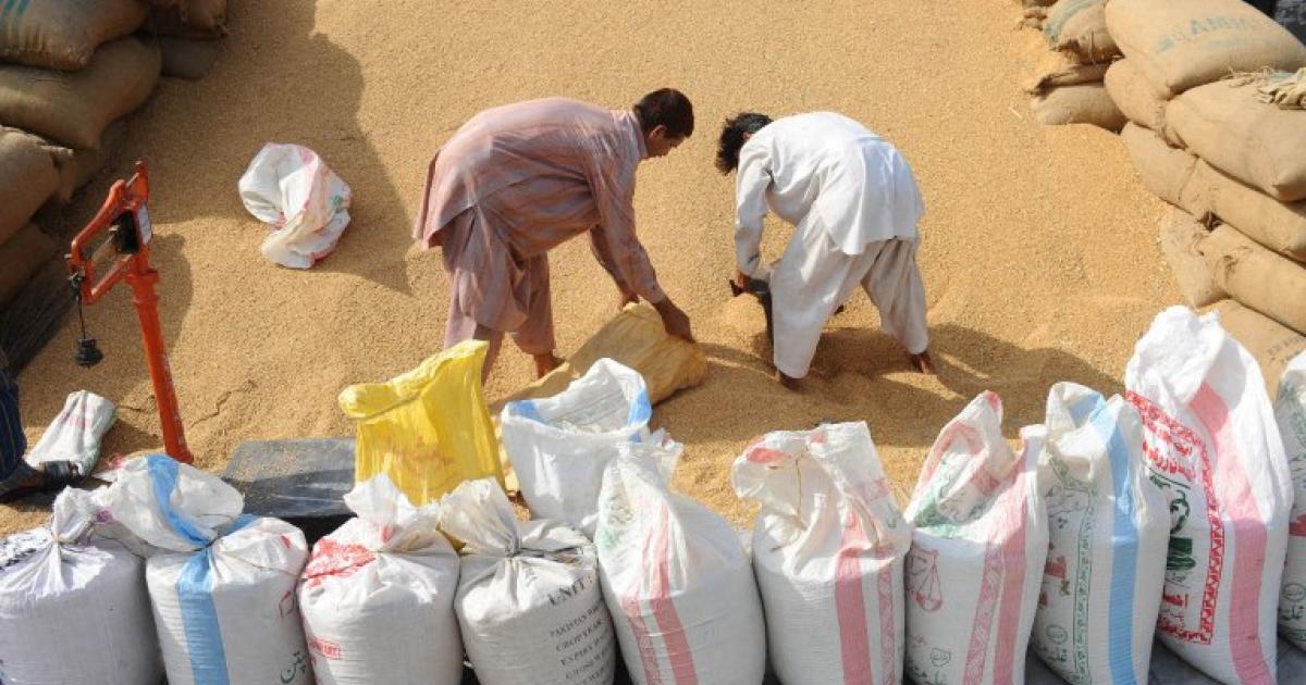 پاکستان نے 10 لاکھ ٹن گندم درآمد کرنے کا فیصلہ کیوں کیا؟