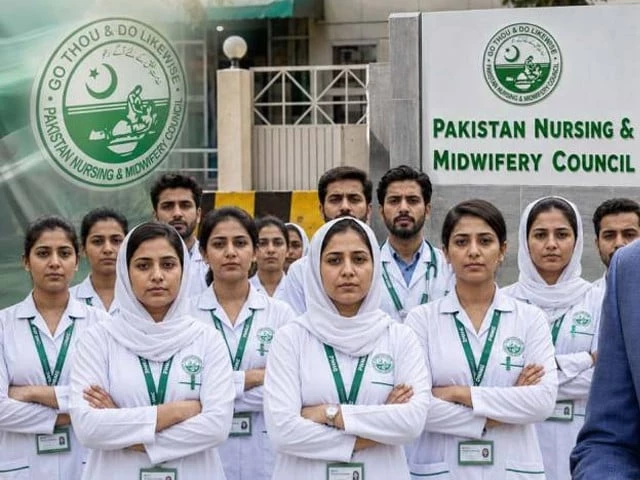 NA panel concerned over nursing training