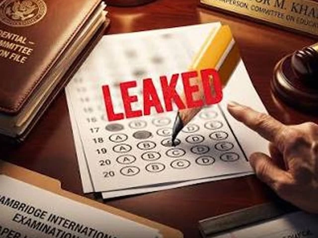 Panel seeks swift A-Level leak probe
