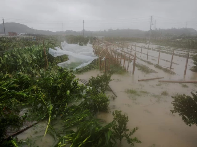 Typhoon Bavi batters eastern China, threatens days of heavy rain