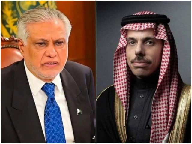 Pakistan, Saudi Arabia welcome Jordan proposal for Arab-Islamic meeting on Palestine