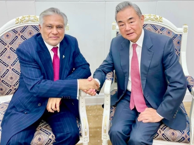Dar, Chinese FM discuss bilateral ties on SCO summit sidelines