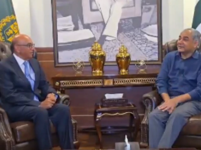 Interior minister says Pakistan welcomes foreign investment in meeting with UK peer