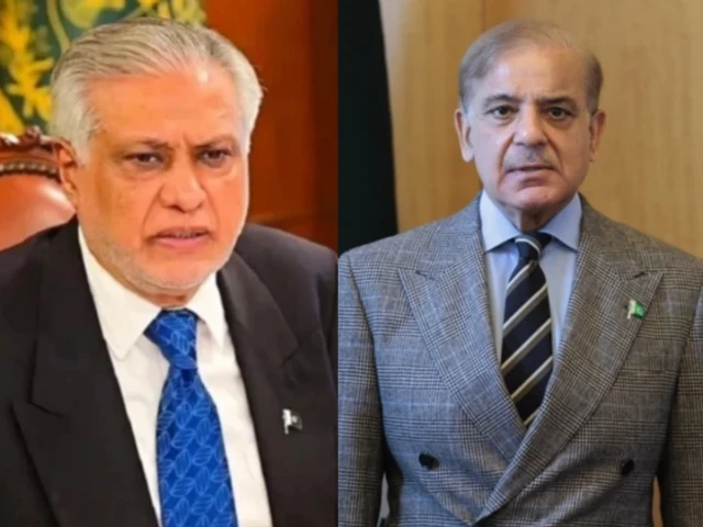 PM Shehbaz, Dar offer condolences over death of former Qatari Emir