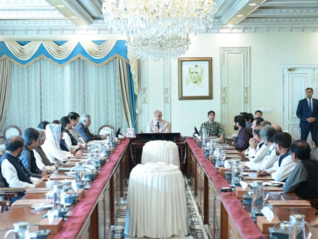G-B uplift govt’s priority as steps underway to improve infrastructure, create jobs: PM Shehbaz