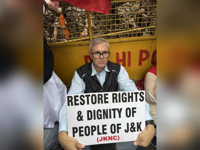 Hundreds protest in Delhi demanding statehood for IIOJK