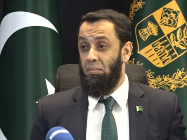 Suspect arrested over India-linked digital influence campaign: Tarar