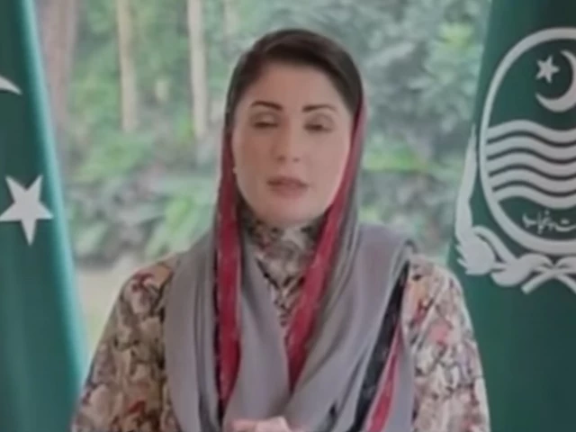 Maryam urges PPP to accept AJK poll defeat, rejects rigging claims