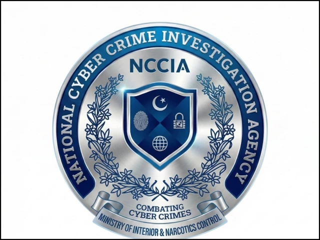 Senate panel debates NCCIA jurisdiction