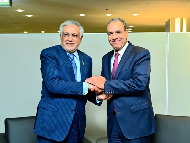 Pakistan, Egypt condemn Israeli military actions in Gaza, occupied West Bank