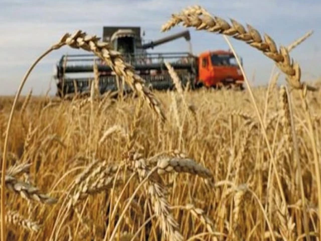 Govt to import 1m tonnes of wheat