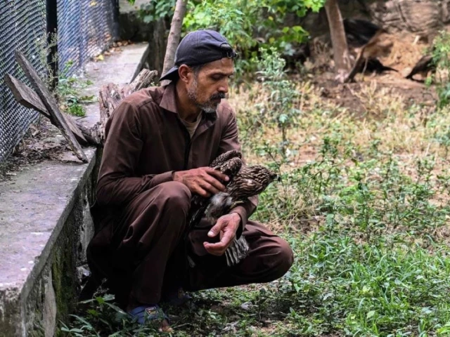 Wildlife rescuers help birds survive Pakistan’s hotter summers