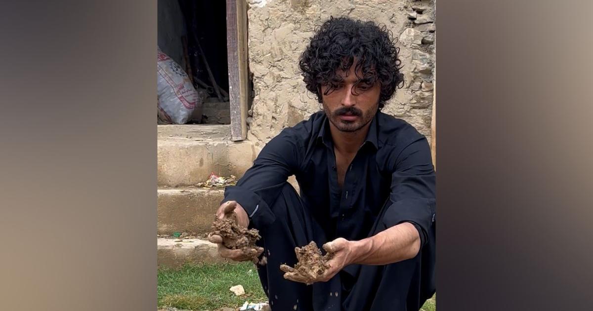 بونیر: پہاڑوں پر درخت اگانے کے لیے سیڈ بالز کا استعمال کتنا کامیاب؟