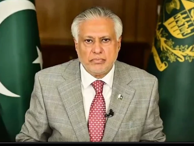 Dar expresses grief over Broad Peak avalanche, vows continued rescue efforts