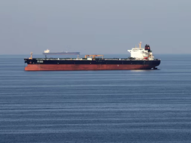 Search continues for 22 after bulk carrier sinks off India