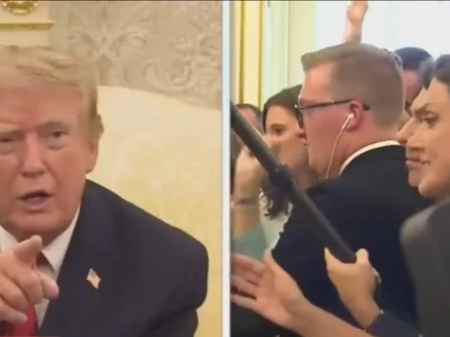 CNN defends reporter following personal attacks by Trump, White House