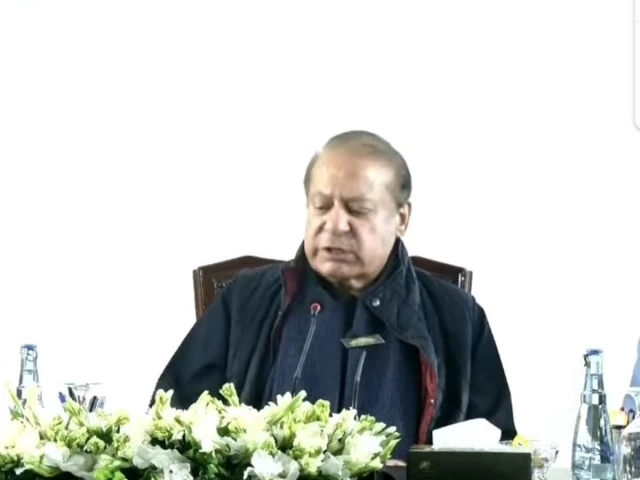 Country can’t withstand another crisis: Nawaz