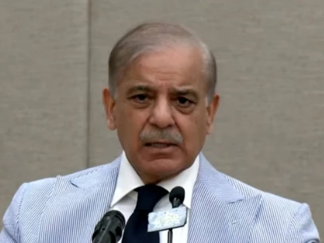Balochistan’s mineral wealth belongs first and foremost to its people: PM Shehbaz