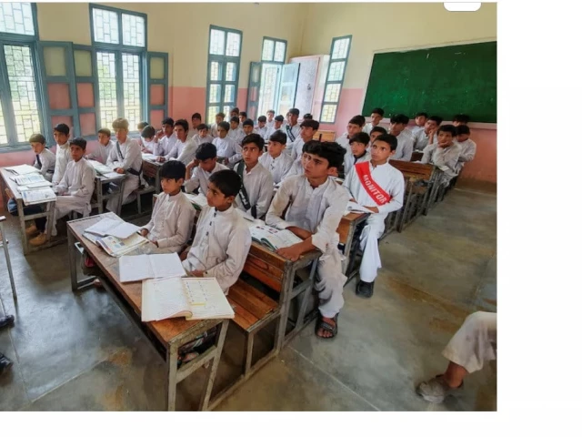 Schools in Sindh to open five days a week