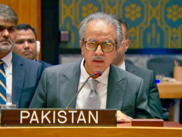 Pakistan rejects India’s bid for permanent UNSC seat